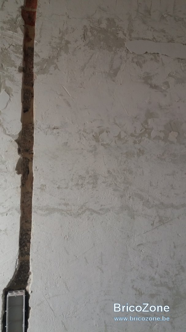 20190629_072953.jpg