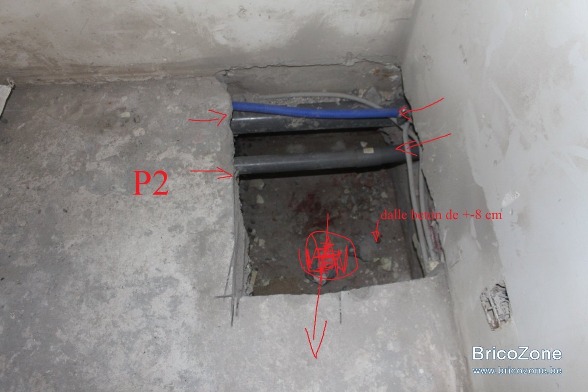 P2.JPG