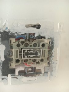 IMG_5062.JPG