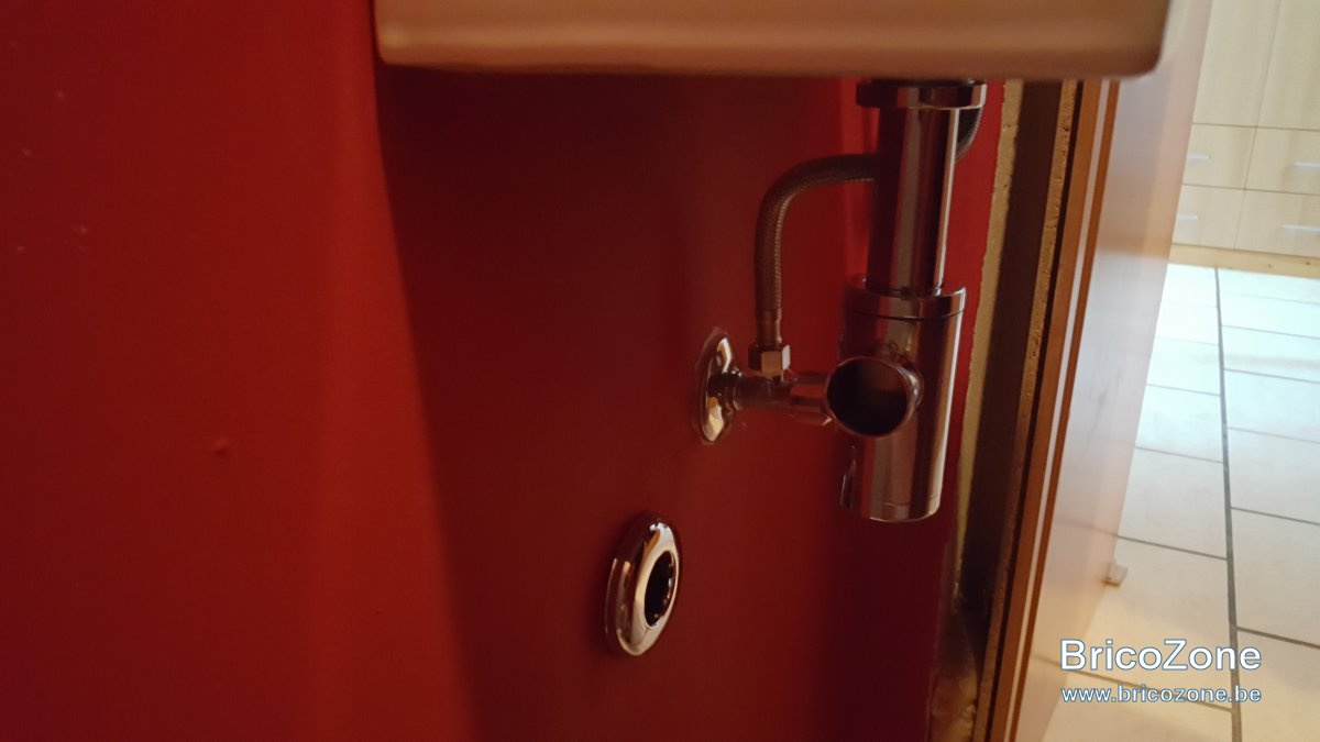 20190722_202544.jpg