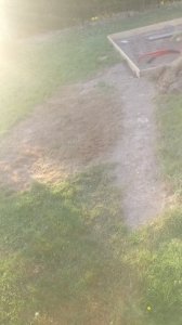 IMG_20190723_204558.jpg