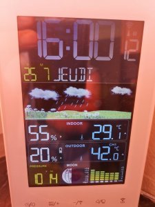 IMG_20190725_160010.jpg