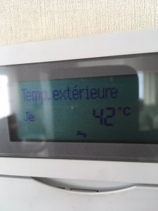 thumbnail_IMG_1853.jpg