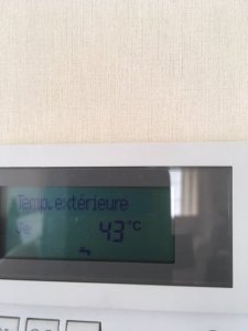 thumbnail_IMG_1855.jpg