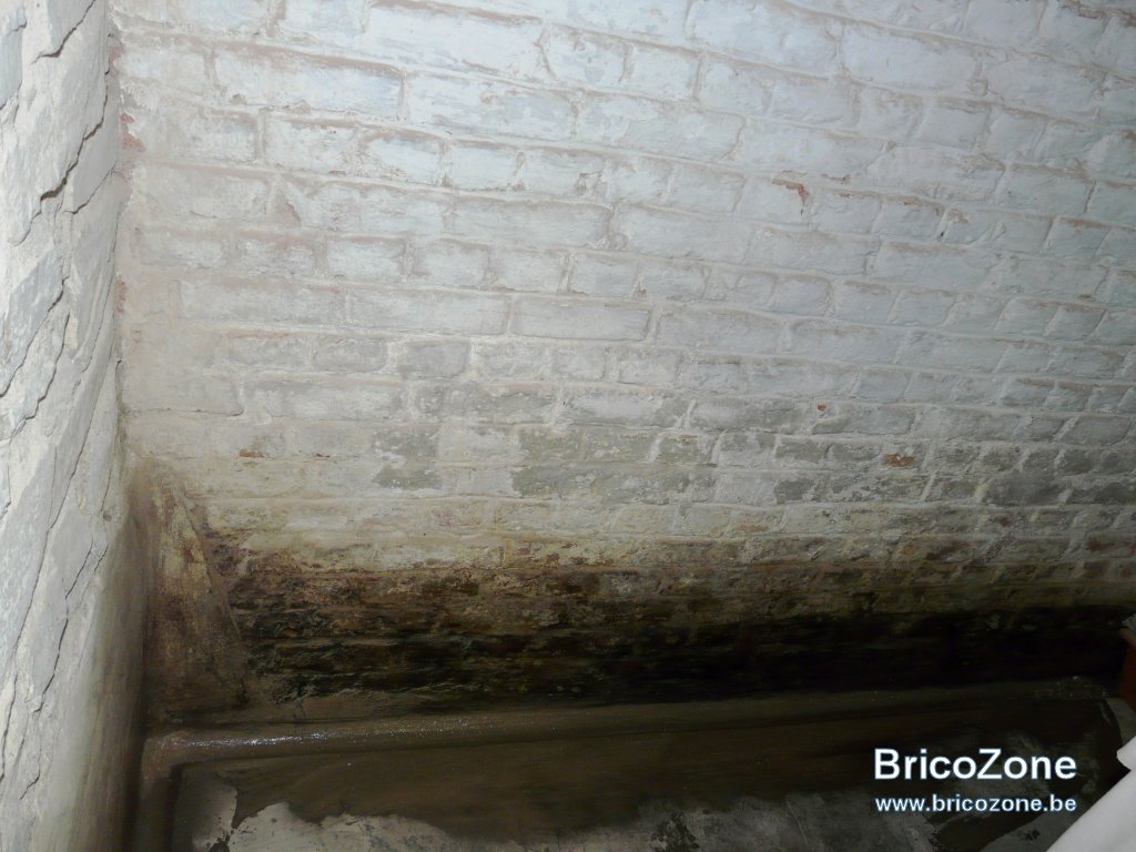 Déchaulage murs cave-8.jpg