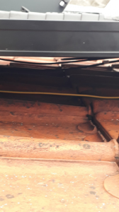 IMG-20190826-WA0079.png