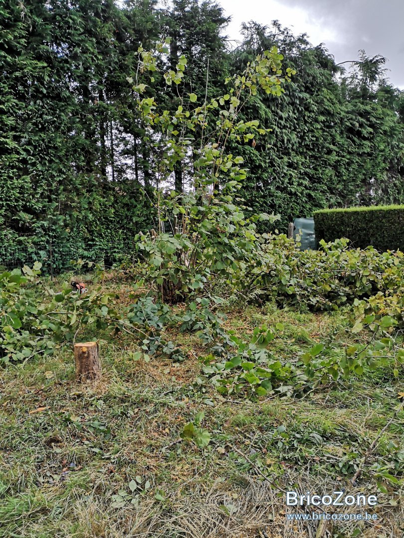 IMG_20190905_134005.jpg