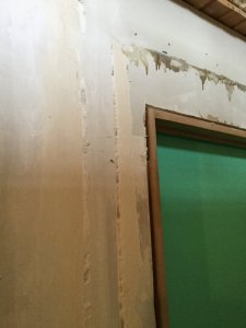 BE9733F8-E79F-4BA2-BE13-D003C72AF708.jpeg
