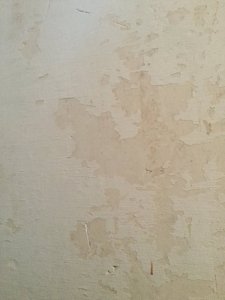 014F60D8-5688-4A1F-BDFD-3709B6BEC231.jpeg 014F60D8-5688-4A1F-BDFD-3709B6BEC231.jpeg