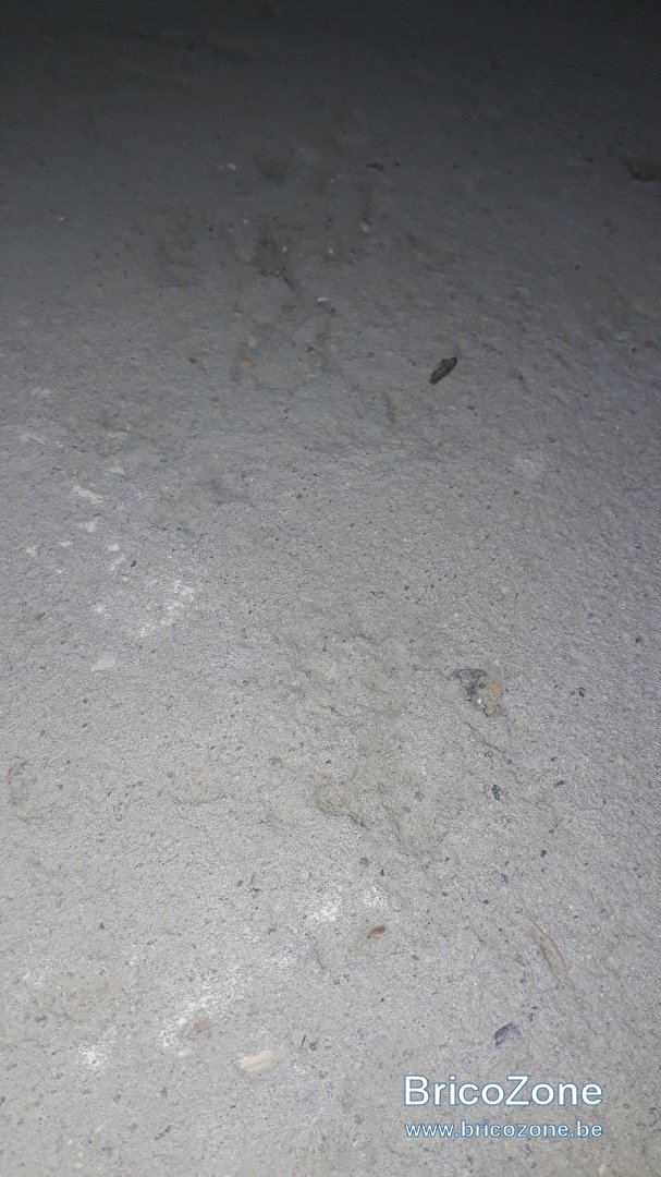 20190916_113202.jpg