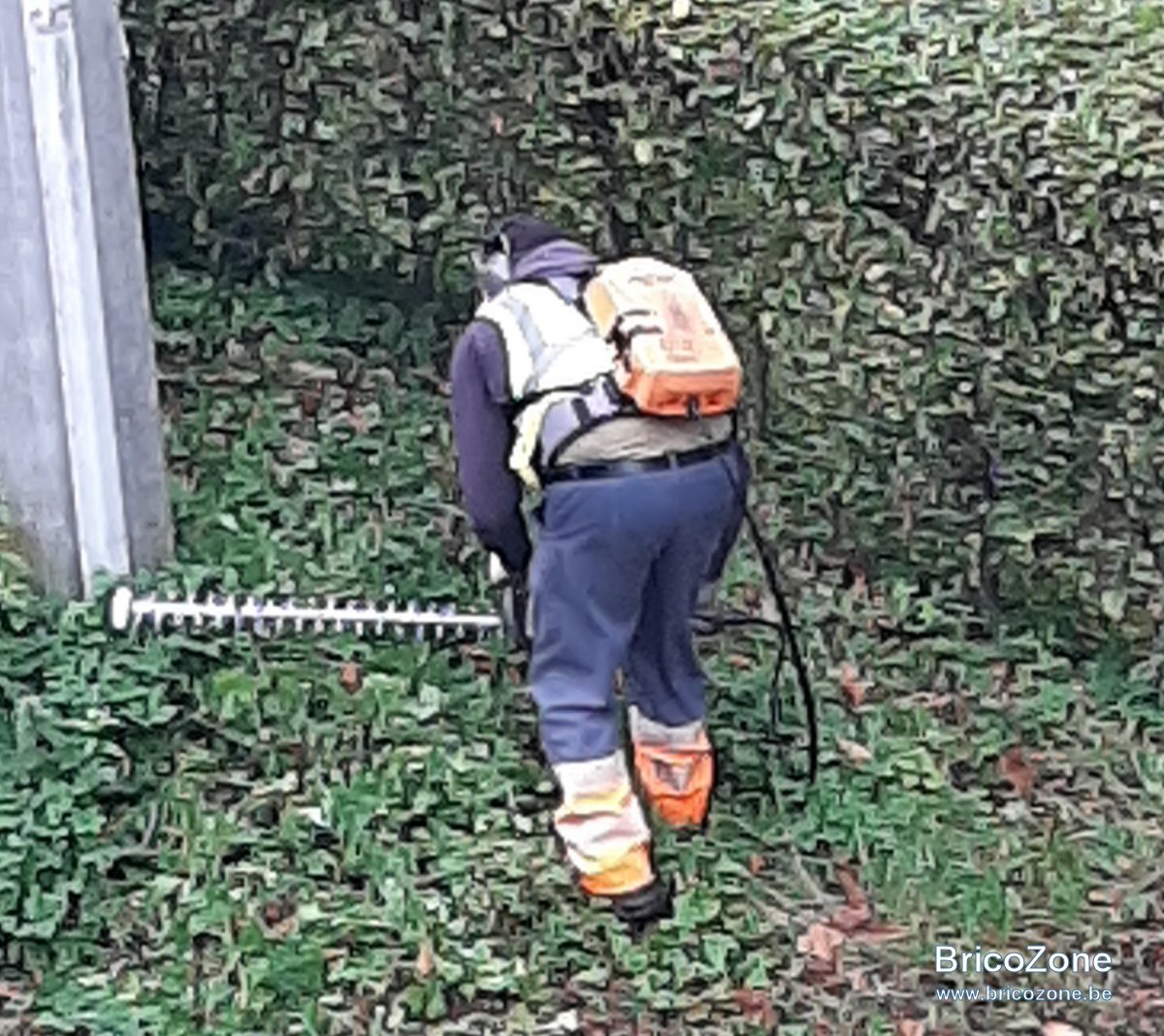 20191023_095912.jpg