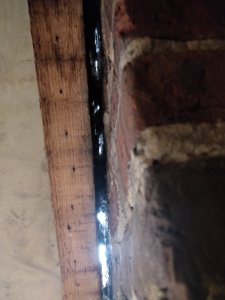 IMG_20191106_121044.jpg