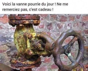 vanne.jpg