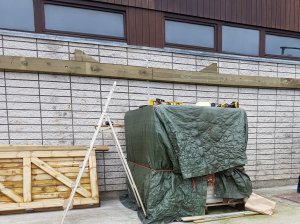 20191123_121851 (Moyen).jpg