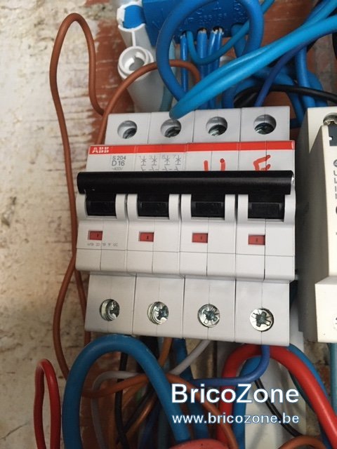 2E91A3CC-3FBF-46A0-A00E-CDD407B16FF9.JPG