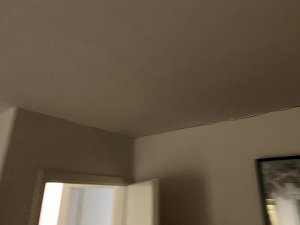 IMG_2261.jpg