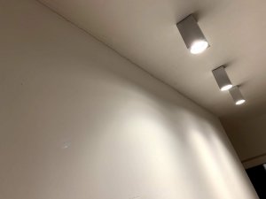 IMG_2270.jpg