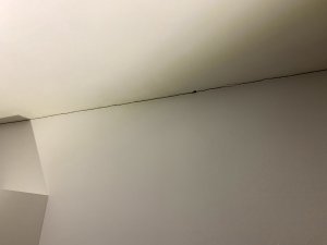 IMG_2273.jpg
