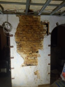 IMG_20200112_190037.jpg