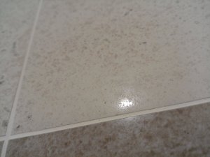 IMG_20200213_212959.jpg