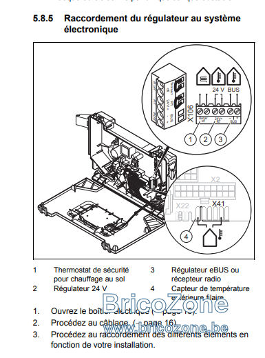 bulex - Copie.PNG