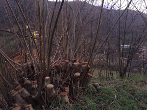 IMG_1898.JPG
