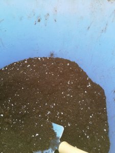IMG_20200319_174442.jpg