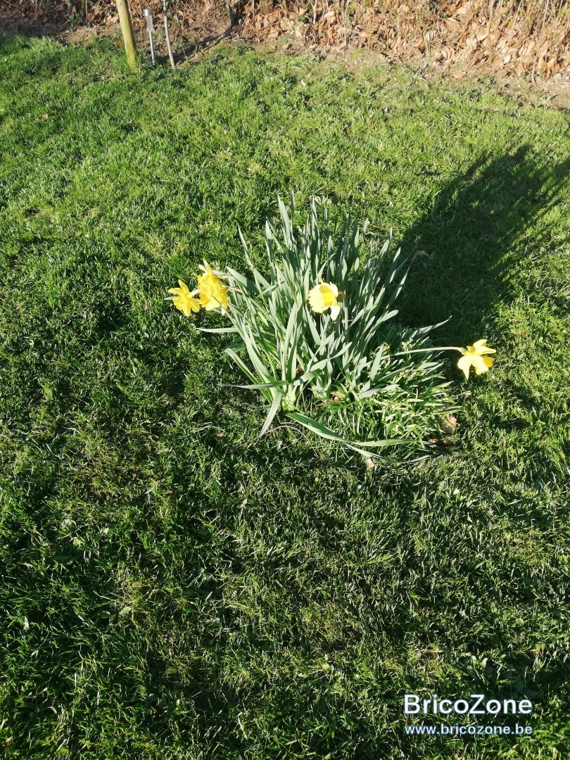 IMG_20200323_171538.jpg