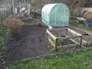 potager 3.jpg