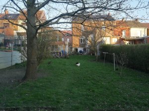 jardin 1.jpg
