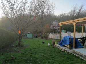jardin 2.jpg