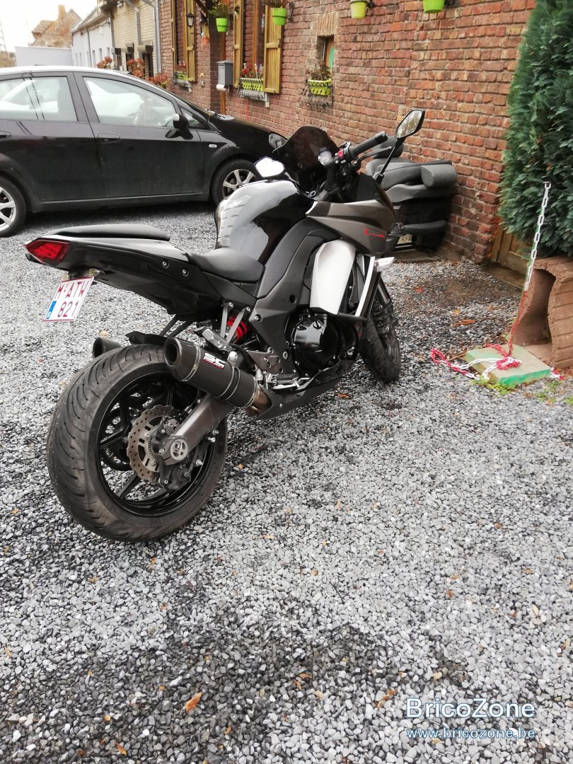 moto robi.jpg
