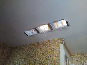 IMG_20200409_113812.jpg