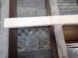 IMG_20200409_113604.jpg