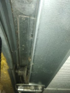 IMG_20200410_155227.jpg