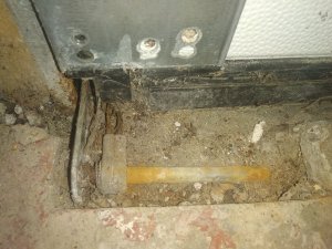 IMG_20200410_161737.jpg