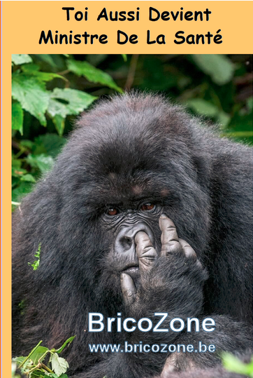 upload_2020-4-14_13-33-32.png