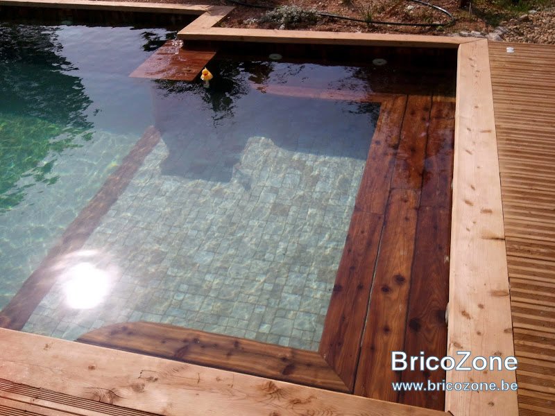 piscine bois modern pool 28.jpg
