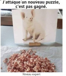 puzzle.JPG