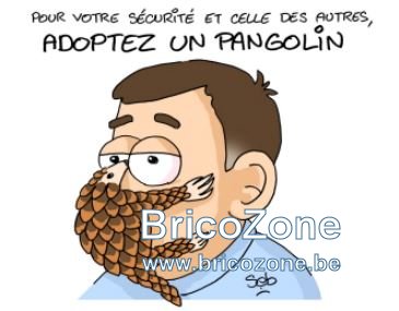 pangolin.JPG