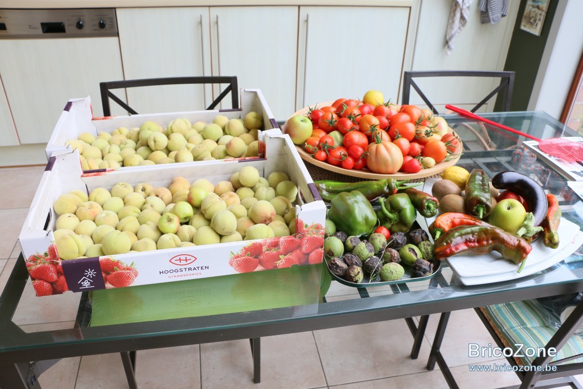 Hôtesjardinrécolte 2018.JPG