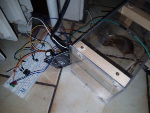20200424_214944 (Moyen).jpg