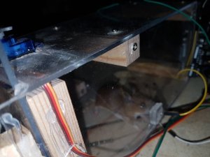 20200424_214957 (Moyen).jpg