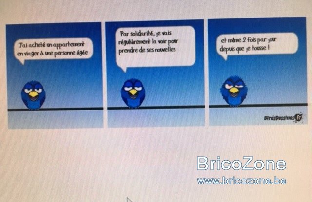 humour 19.jpg