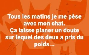 humour 3.jpg