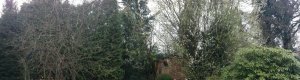 IMG_4344 - Copie.JPG