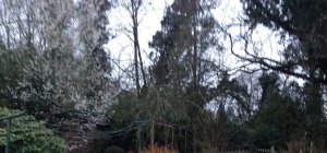IMG_4296 - Copie.JPG
