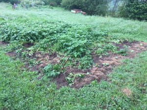 IMG_2899.JPG