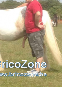 65912_b4f50ad3b5c236d8a9d11921f7af9285_thumb.png