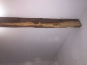 IMG_2880.JPG